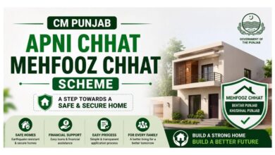 CM Punjab Apni Chhat Mehfooz Chhat Scheme