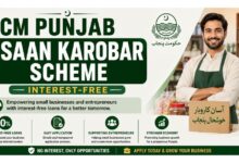 CM Punjab Asaan Karobar Scheme - Interest-Free