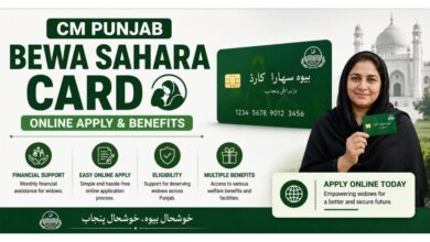 CM Punjab Bewa Sahara Card