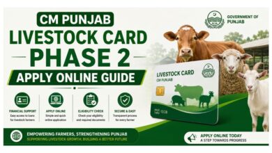CM Punjab Livestock Card Phase 2 - Apply Online Guide