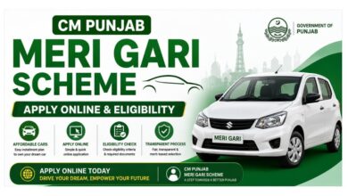 CM Punjab Meri Gari Scheme - Apply Online & Eligibility