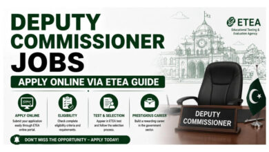Deputy Commissioner Jobs - Apply Online via ETEA Guide