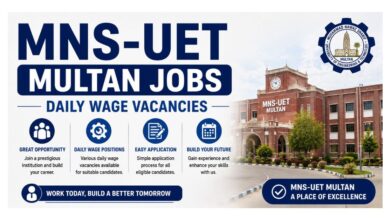 MNS-UET Multan Jobs - Daily Wage Vacancies