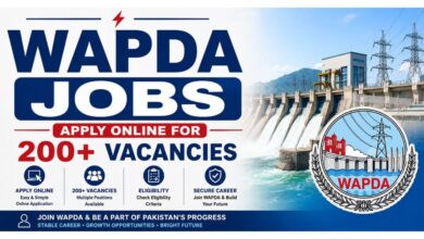 WAPDA Jobs - Apply Online for 200+ Vacancies