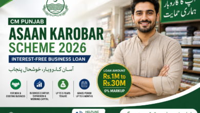 CM Punjab Asaan Karobar Scheme