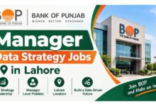 Bank of Punjab Manager Data Strategy Jobs in Lahore