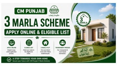 CM Punjab 3 Marla Scheme - Apply Online & Eligible List