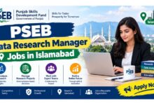 PSEB Data Research Manager Jobs in Islamabad