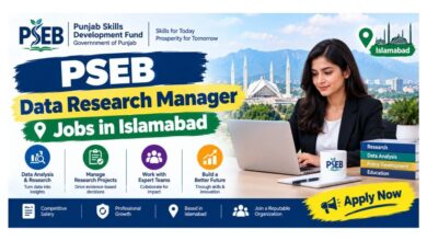 PSEB Data Research Manager Jobs in Islamabad
