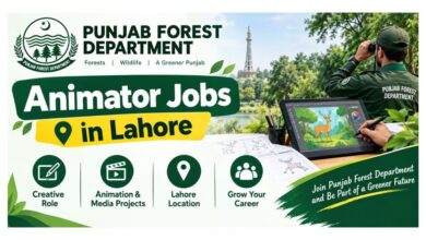 Punjab Forest Department Animator Jobs in Lahore